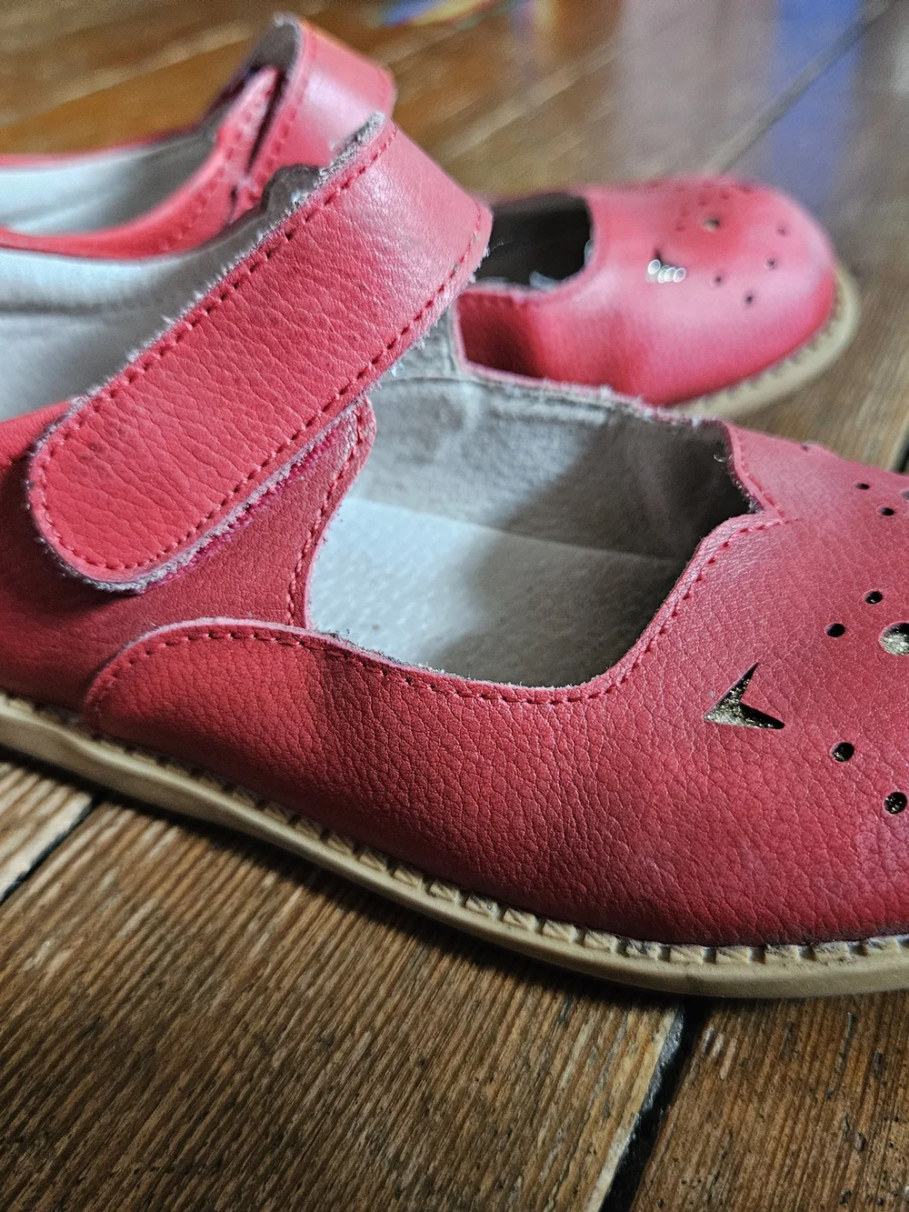 Livie & Luca Red Mary Jane Cat Cutout Shoes